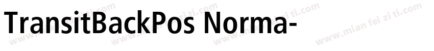TransitBackPos Norma字体转换